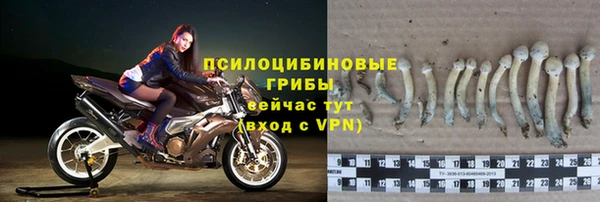соль ск Алзамай
