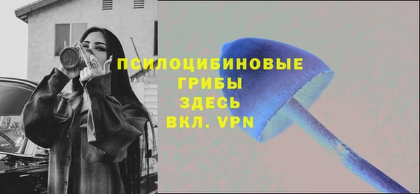 соль ск Алзамай
