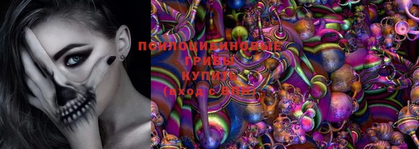 соль ск Алзамай
