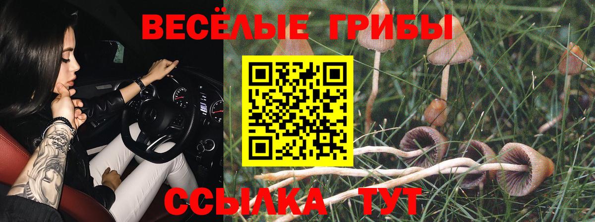Псилоцибиновые грибы Magic Shrooms Анжеро-Судженск