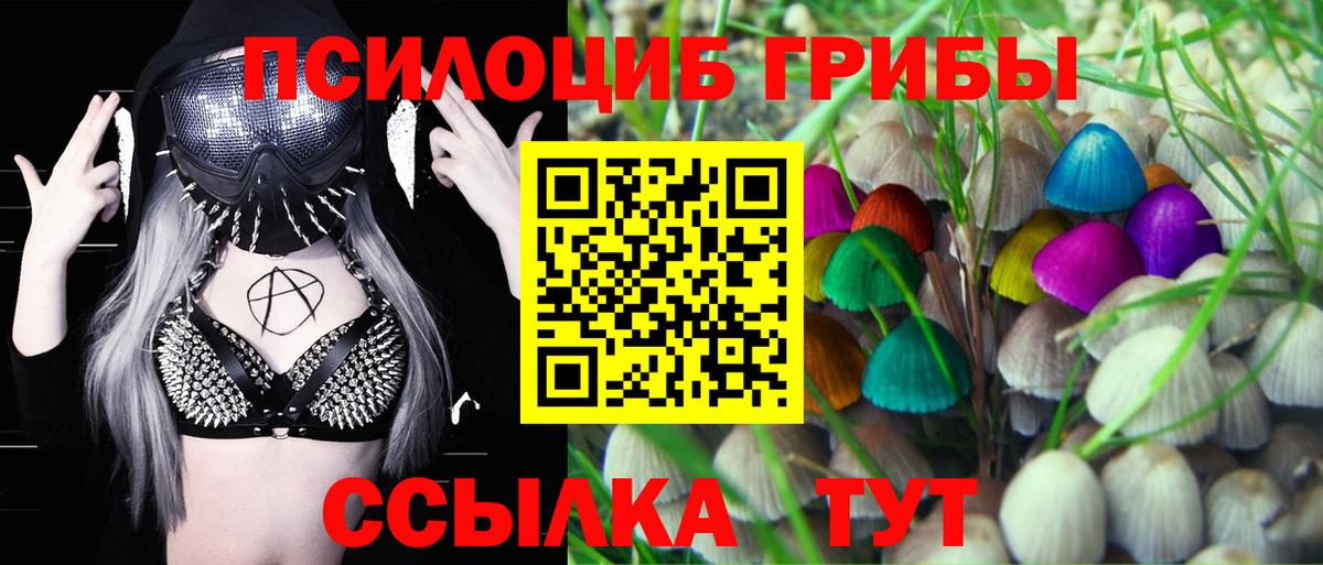 Псилоцибиновые грибы Magic Shrooms  Псилоцибиновые грибы Cubensis  Вход с VPN  Анжеро-Судженск 